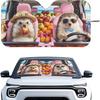 Fashion Cat Car Window Shades Foldable Car Windshield Sunshades Automotive Windshield Sunshades Keep Cool UV Rays Protection for Most Sedan Truck Van