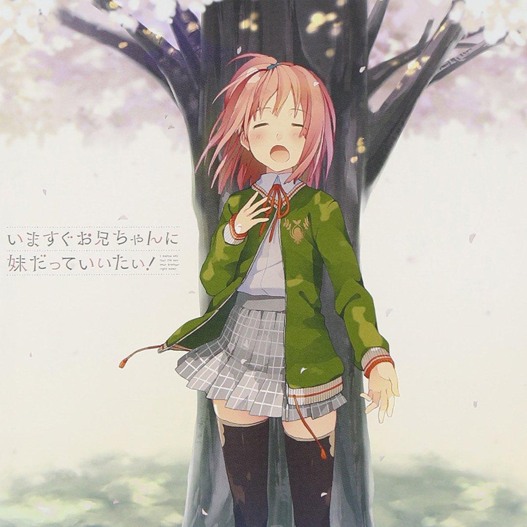 

PC Game I Want to Tell My Big Brother Right Vocal Album Now!