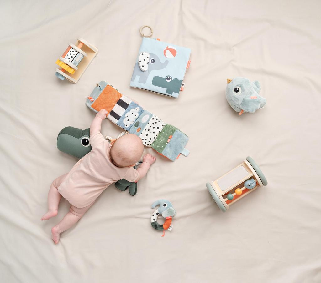 Dambaidia Spinner Activity Toy Birdie DBD150046