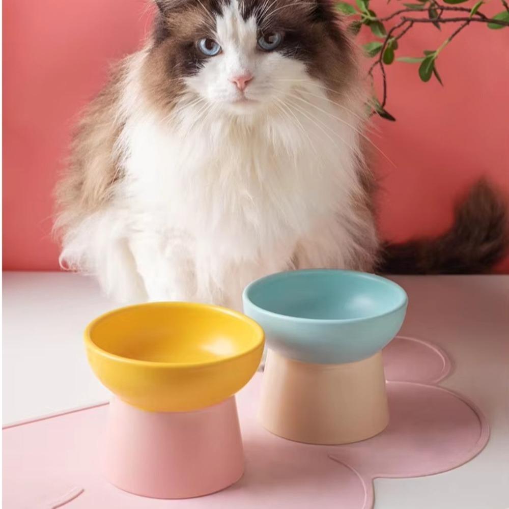 Keramik Hundenapf Wassernapf 300ml Futterteller Fressnapf Katze Erhöhter Napf für Welpen