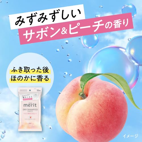 Merit Dry Shampoo Sheet, Smooth Hair Type, 20 Sheets