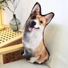 Cat & Dog Plush Toy - Corgi Chihuahua Cushion & Rag Doll
