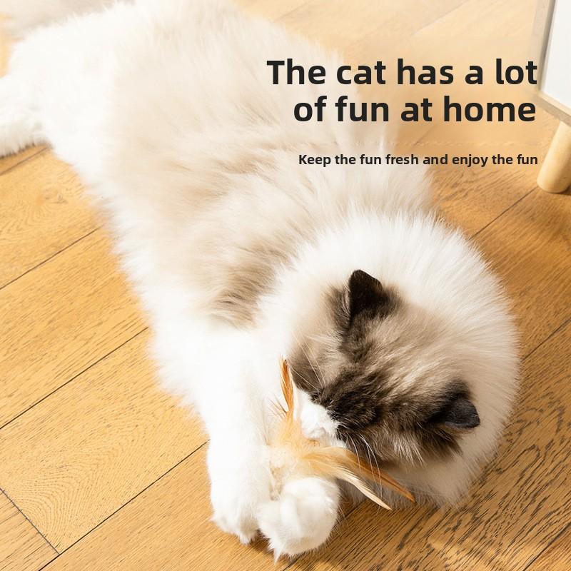 Cat Cat Self-Enjoyment Solution New Model Cat Toy Cat Toy Cat Cat Ball Accessories