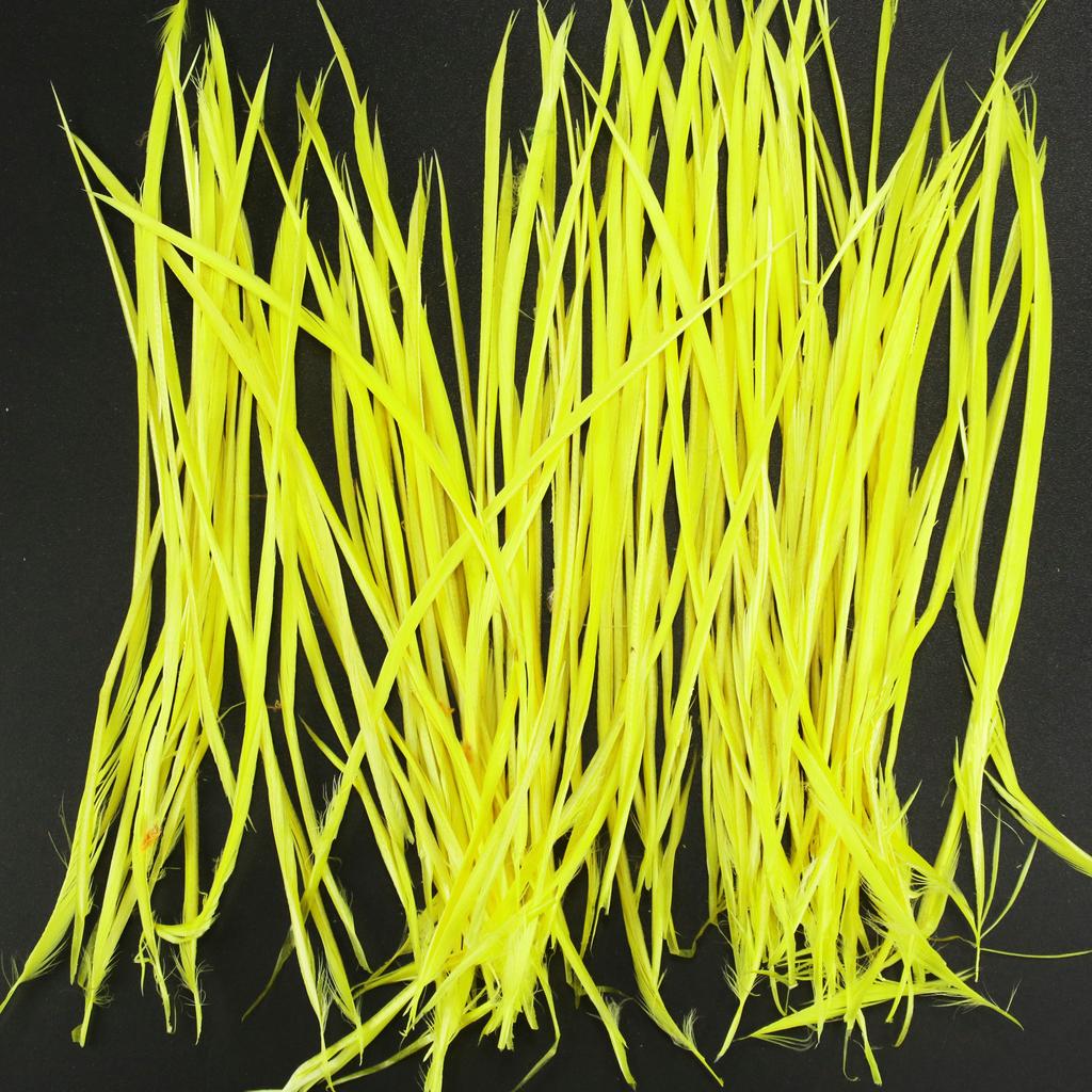 FeatherYellow Feathers for Crafts, 31 Styles Natural Pheasant, Rooster, Duck Feathers Bulk for Costume DIY, Fly Tying,Party Decoration