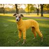 Elastic Pet Turtleneck Clothes Warm Dog Four Legged Clothes Pet Sweater Pet Pajamas  Outdoor