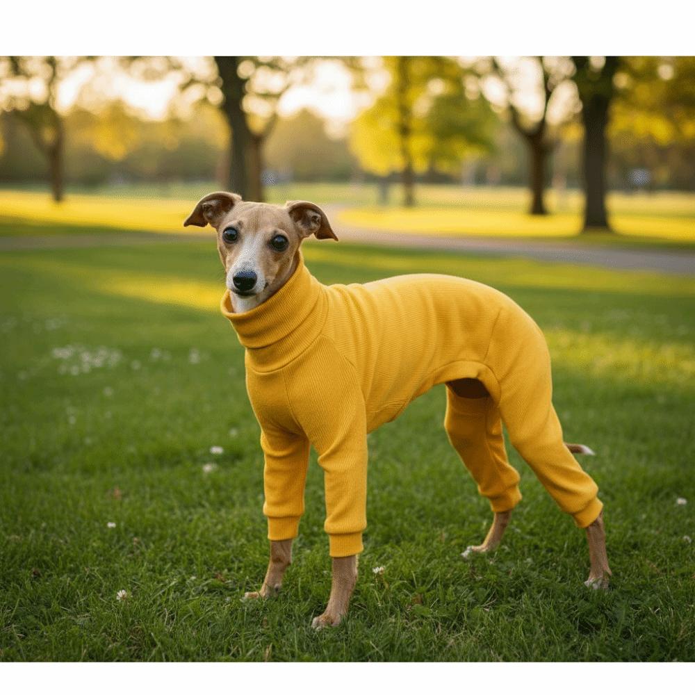 Elastic Pet Turtleneck Clothes Warm Dog Four Legged Clothes Pet Sweater Pet Pajamas  Outdoor
