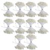 900pcs Double Heads Artificial Pistil Cream White Floral Stamens Flower Stamens  DIY Crafts