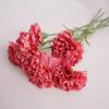 10pcs Multi Color Artificial Carnation Real Touch Simulation Flower New Fake Flowers  Mother's Day