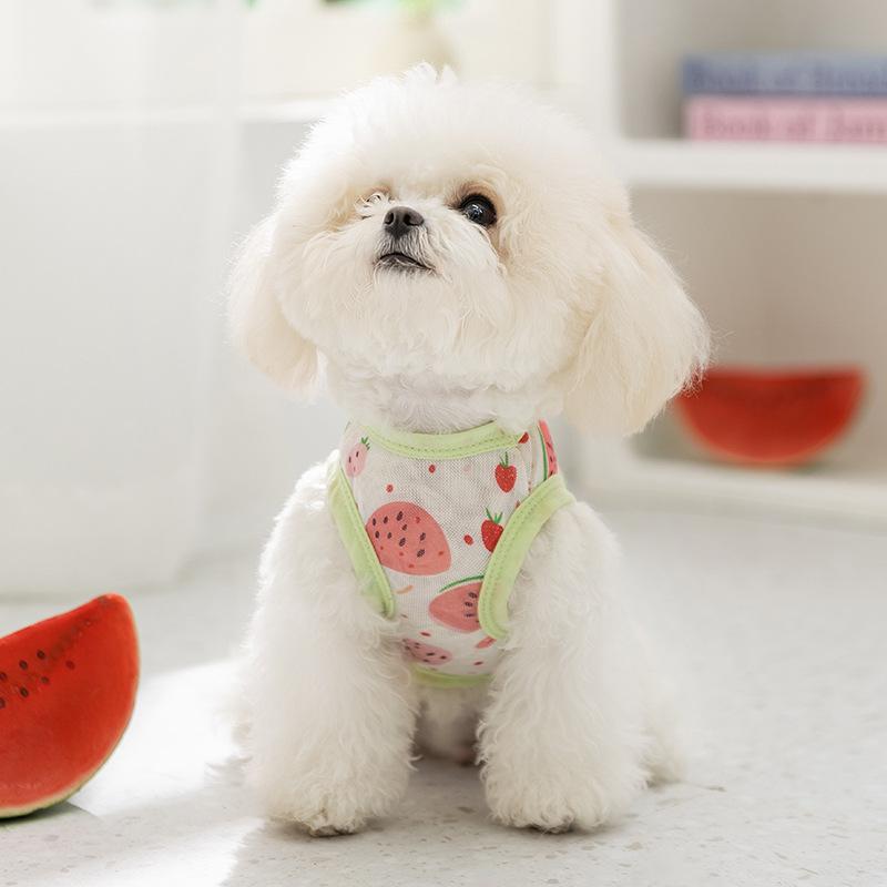 Pet Clothing Spring and Summer Thin Breathable Small Dog Full Printed Mesh Vest Teddy Bigbear Cat Dog Clothing