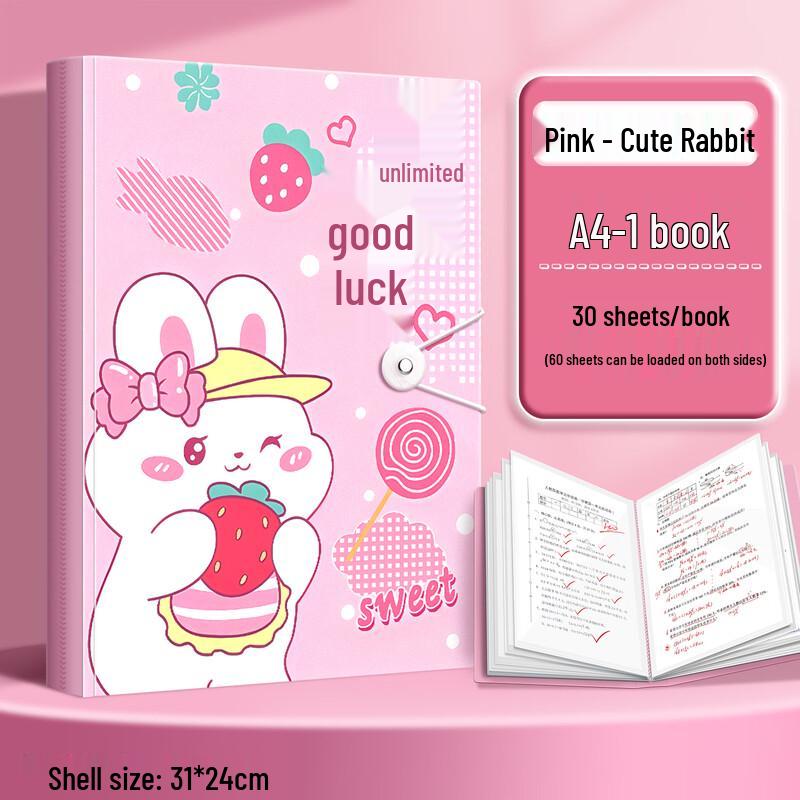 A4 Cartoon Document Organizer & Folder
