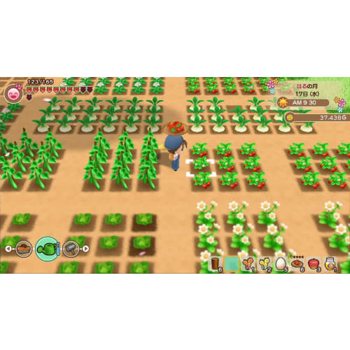 Harvest Moon: Mineral Town Reunion -Switch [.co.jp Only] "Chicken Costume" Download Number *Unavailable/unusable Due To Expiration Date