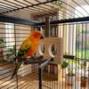 Natural Wood Bird Branch Stand Detachable Wear-resistant Parrot Parrot Perch Double-hole Perch Chew-able Bird Stand Perch