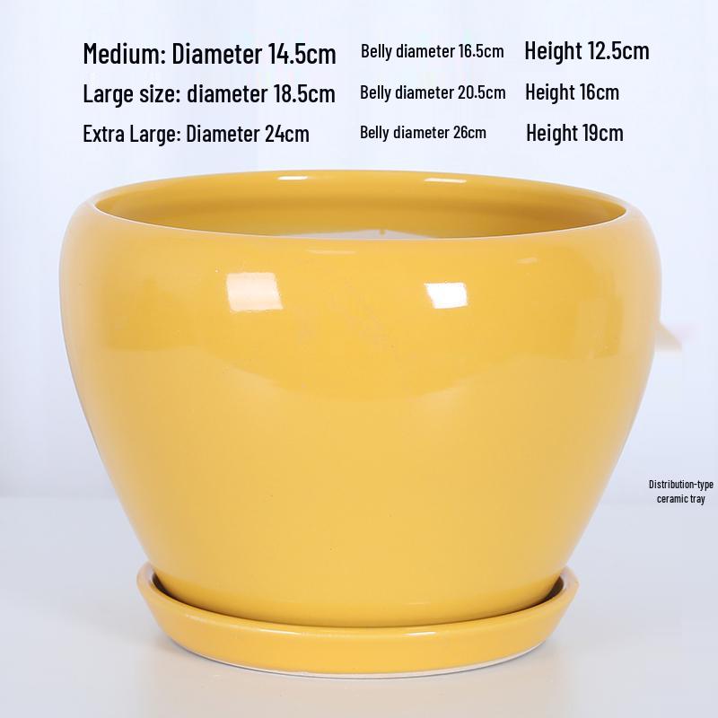 White Ceramic Orchid Pot, Large Elegant Design for Living Room