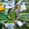 Deli Tools Labor-Saving Pruning Shears for Gardens, Fruit Trees, Flowers, and Thick Branches