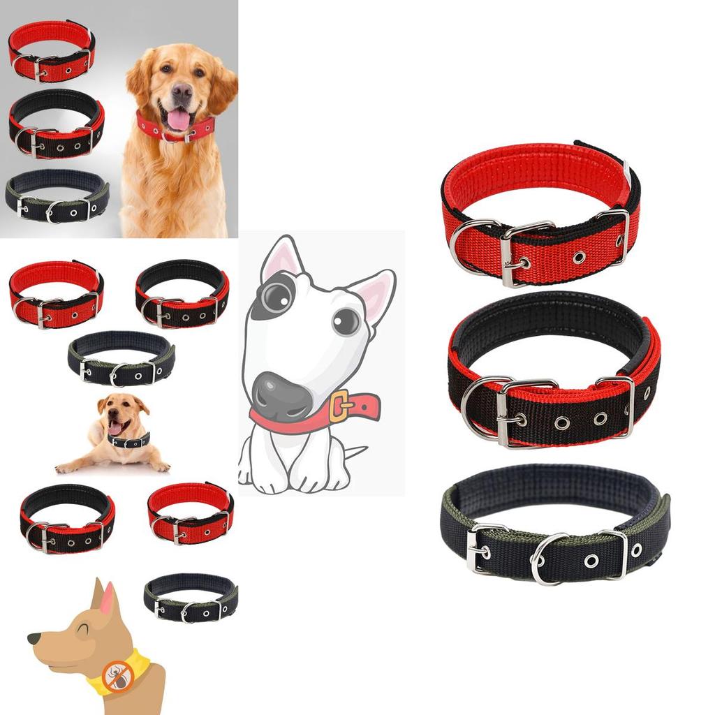 Pet Collar Made Of Pp Polypropylene Breathable And Comfortable Suitable For All Seasons
