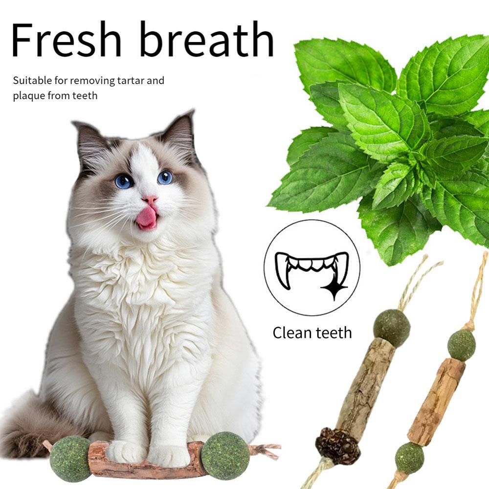 Natural Catnip Cat Molar Toothpaste Stick Cat Cleaning Teeth Cat Pet Sticks Cat Snack Cleaning Teeth Stick Pet Chew Catnip Toy