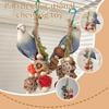 Bite Resistant Parrot Toy Peony Tiger Skin Molar Chewing Articles Colorful String Bird Biting Toy For Cage Decoration New