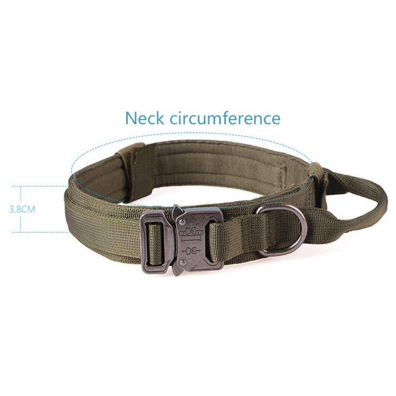 outdoors dog collars