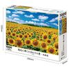 EPOCH 1000-Piece Jigsaw Puzzle Japanese Landscape Sunlit Sunflower Field Hokkaido (50x75cm) with Glue and Tool Included