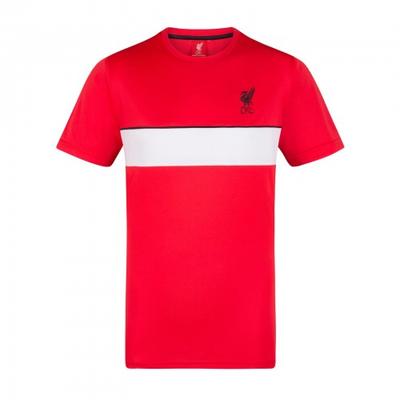 Men's Polyester T-Shirt