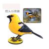 Children'S Intelligent Electric Voice Control Induction Simulation Bird Can Call And Move Light Control Puzzle Music Electronic