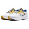 Nike Air Zoom Pegasus 40 'North Carolina A&T' Men's DZ5952-100