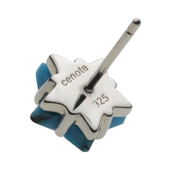 Stone Star Earrings with Blue Turquoise Silver e0490tq [Cenote] [925 Accessories]