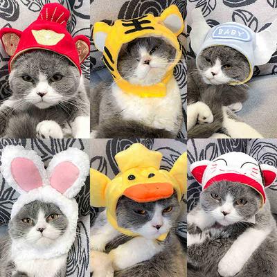 Gatos – Roupa para gatos