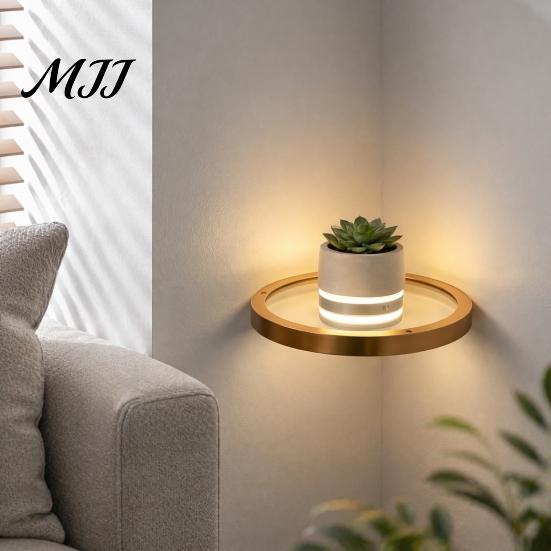 Luxury Metal Wall Organizer Floating Shelf with LED Light, Modern Gold Display Rack Shelves Led Lights for Plants Book, Space Saving Mounted