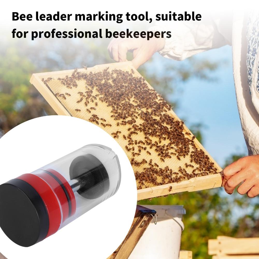 Plastic Queen Bee Marking Bottle High Quality Queen Bee Marking Tube  Bee Marking