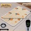 OEING Pet Electric Heating Pad with Temperature Display & Timer