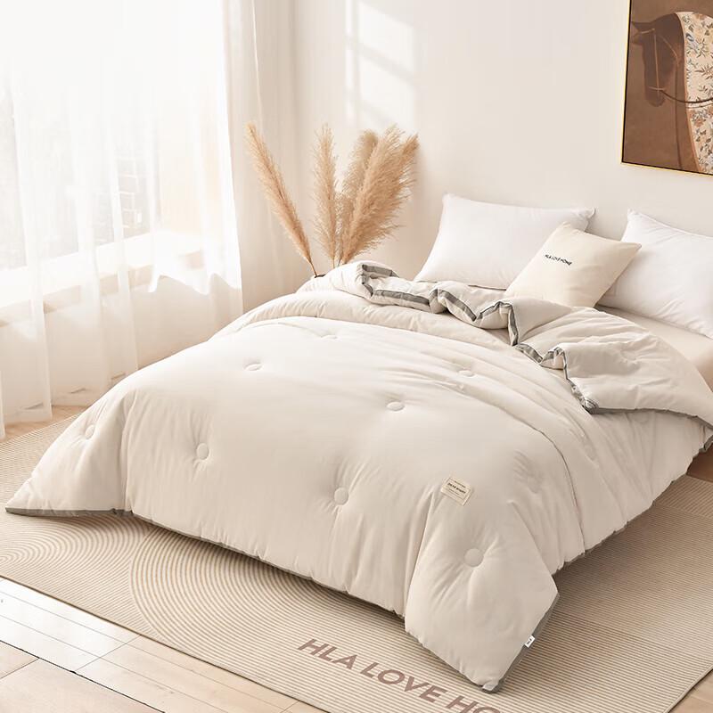 HAYLAN HOME Long-Staple Cotton Spring/Autumn Quilt