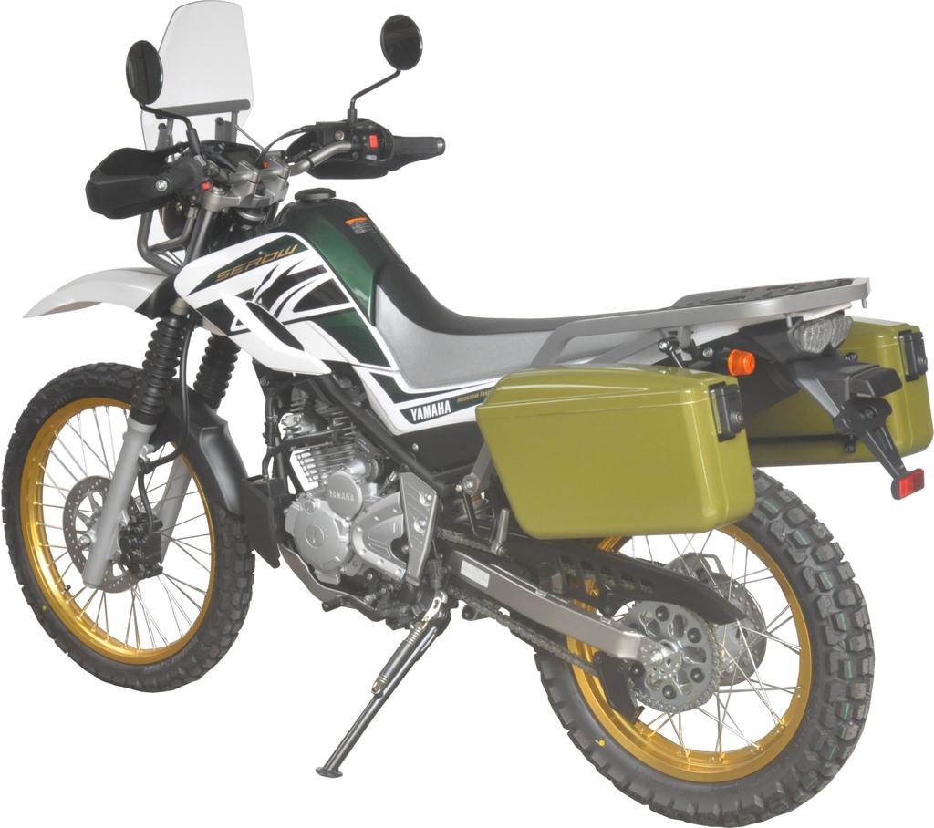 [AF ASAHI] Trunk AC-002-G Green