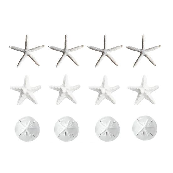 

1 Set Resin Starfish Sand Dollars Sea Glass Ocean Themed Crafts DIY Accessories Coastal Decorations for Beach Weddings Nautical Party Decor A
