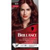1 Schwarzkopf Brilliance Hair Color 849 Herbstrot