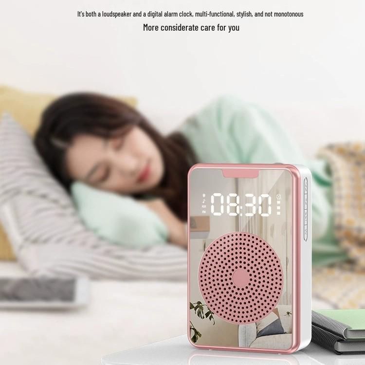 Portable Bluetooth Microphone & Loudspeaker for Teaching, Tour Guides, and Outdoor Use