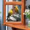 Self-adhesive Static Cling Window Stickers Realistic Macaw Parrot for Living Room Balcony Glass Decor