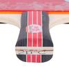 Double Fish 2-Star Entry-Level Shakehand Table Tennis Racket