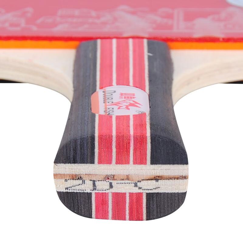 Double Fish 2-Star Entry-Level Shakehand Table Tennis Racket