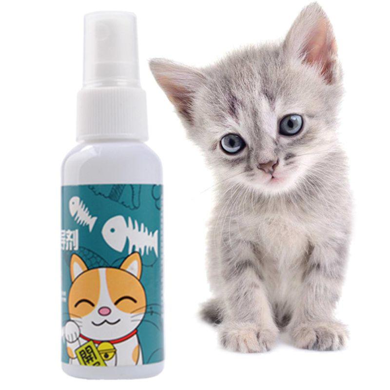 Cat Catnip Spray Natural Healthy Safe Long-term Effect Scratching Pad Inducer Pet Training Toy
