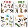 American Style Bird Pun Coasters Set Of 6 Durable Wooden Coasters Unique Home Decor