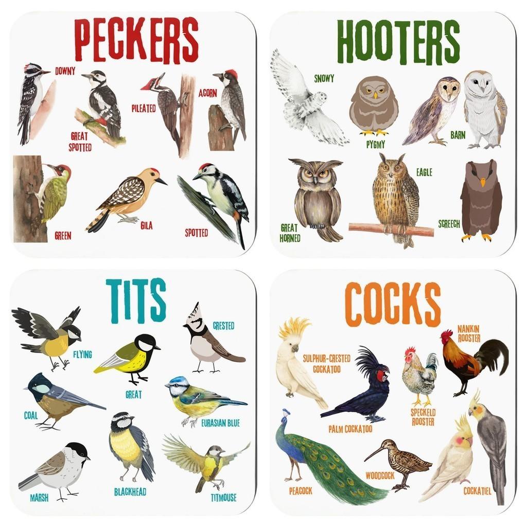 

Coasters Pun Bird For Drinks Funny Bilingualism Pvc For Home Decor Bar Square 4Pcs