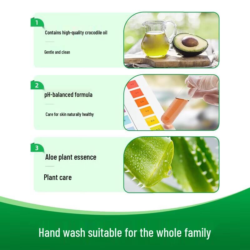 Dettol Plant Care Antibacterial Hand Wash (3 X 500g)