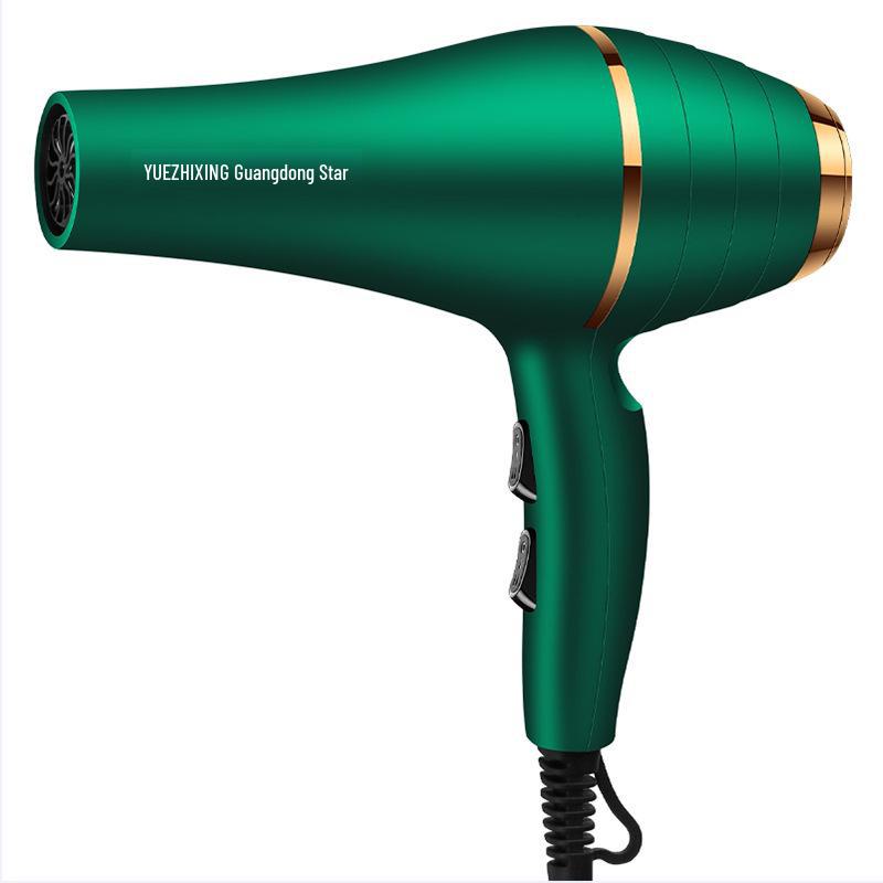 High-Power Hair Salon Dryer for Homes