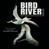 Bird River by John Davies Paperback Book 9781845279370