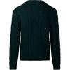 Polo Ralph Lauren Solid Color Crew Neck Long Sleeve Pullover Sweater Men Sweater Green 710949800-001