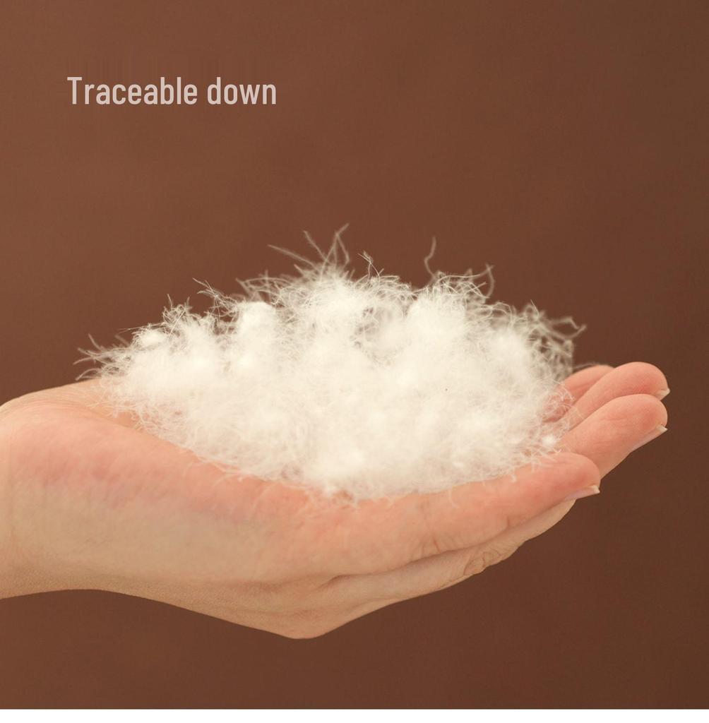 Graphene Hooded Lightweight Down Jacket