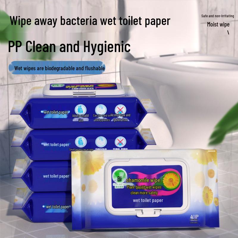 Biodegradable Antibacterial Flushable Wet Toilet Wipes - 40 Sheets (Clog-Free and Eco-Friendly)