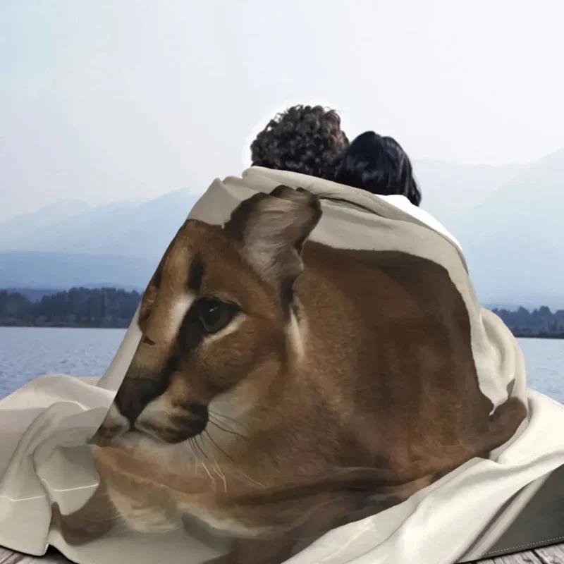 Großer Floppa Karakal Katze Niedliches Meme Decke Weiches Korallenfleece Warme Flanell Badewannen Überwurfdecken für Sofa Auto Schlafzimmer Tagesdecke