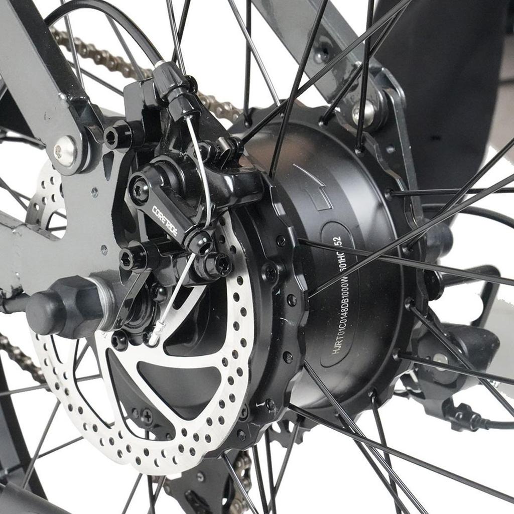 RICH BIT C01 750W*2 Çift Motorlu Arazi Elektrikli Bisiklet 48V20Ah Batarya 26*4.0 İnç Kalın Lastikler Yetişkin Dış Mekan Sürüşü E-Dağ Bisikleti